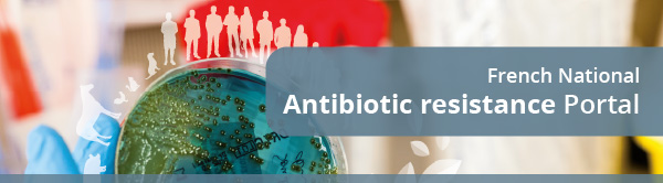 French National Antibiotic resistance Portal